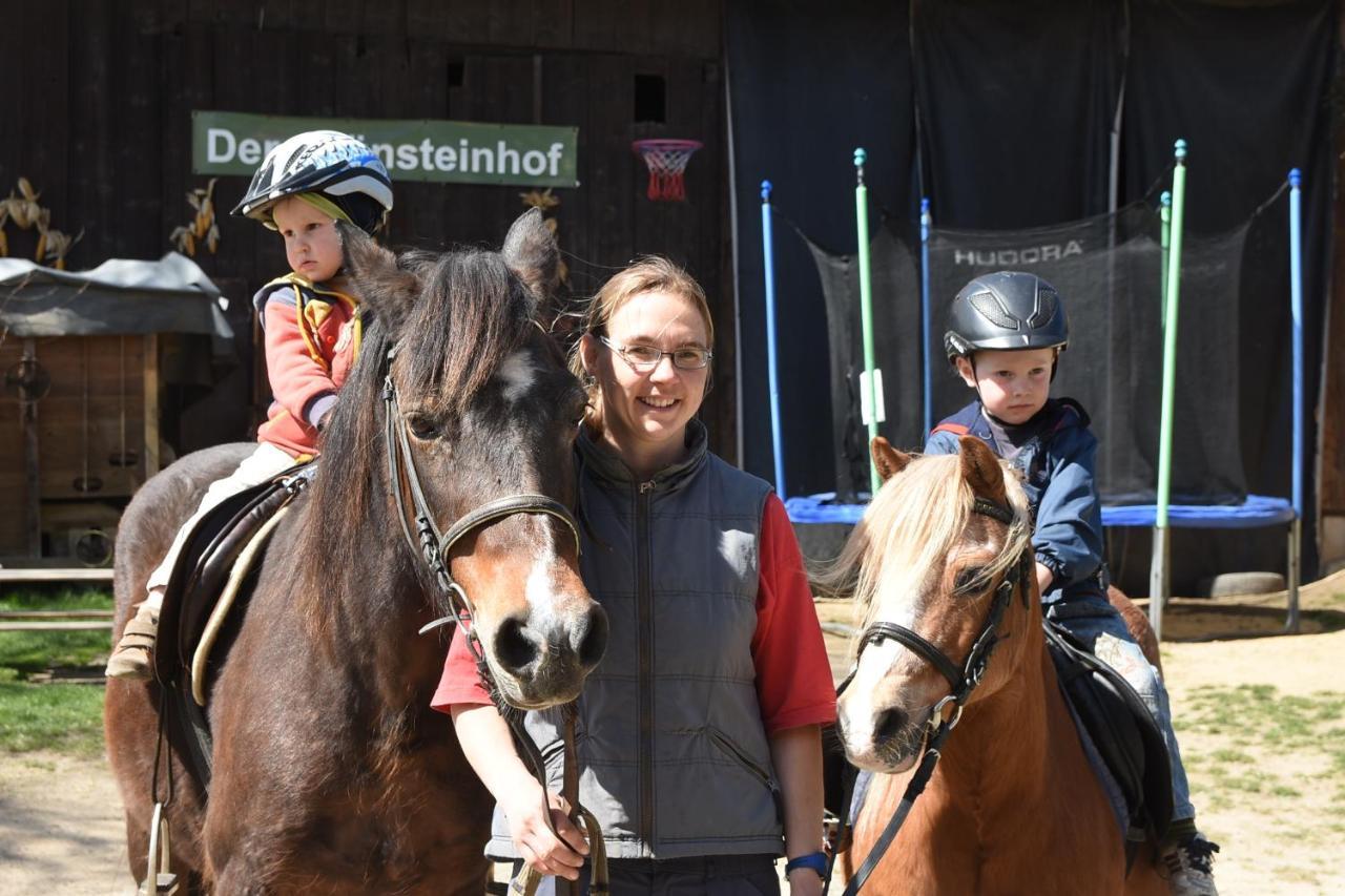 Ebersbach-Neugersdorf Romantische Ferien Auf Dem Nachhaltig Oekologisch Sanierten Bauernhof 아파트 외부 사진